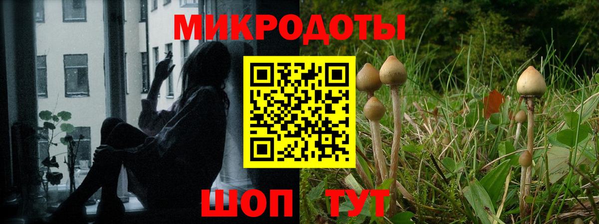 Мичуринск  Псилоцибиновые грибы прущие грибы  Вход с VPN 